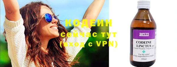 шишки Осташков
