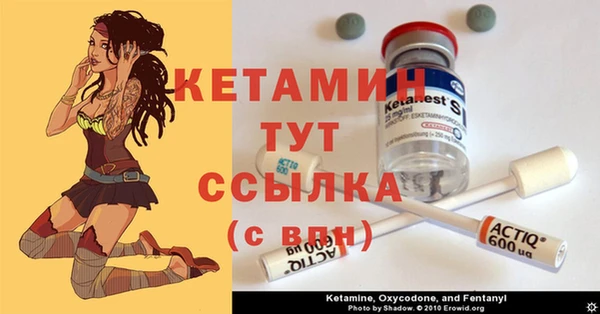 шишки Осташков