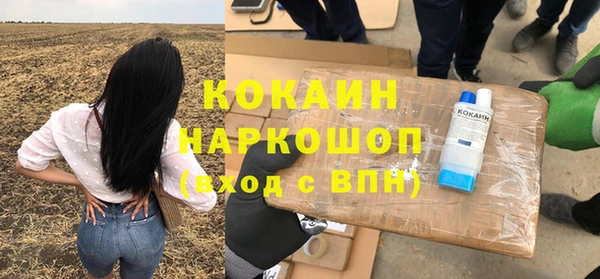 ешки Осинники