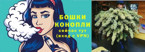 ешки Осинники