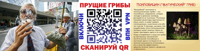 KRAKEN ONION  Радужный  Псилоцибиновые грибы Psilocybe 